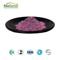 Εκχύλισμα μούρων Acai σε σκόνη