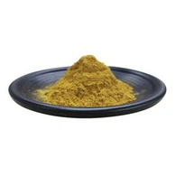 Εκχύλισμα φύλλων Ginkgo Biloba σε σκόνη