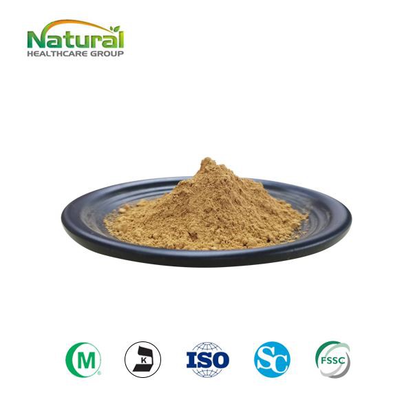 Κορεατική σκόνη εκχυλίσματος ρίζας Ginseng