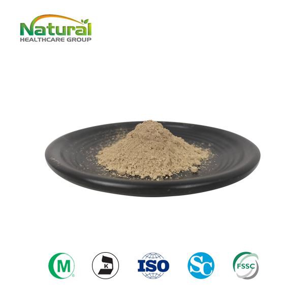 Εκχύλισμα Magnolia Officinalis σε σκόνη