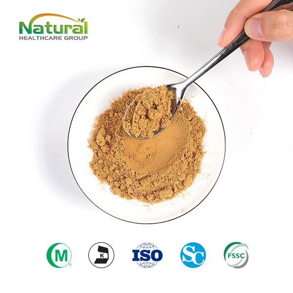 Εκχύλισμα Cordyceps σε σκόνη