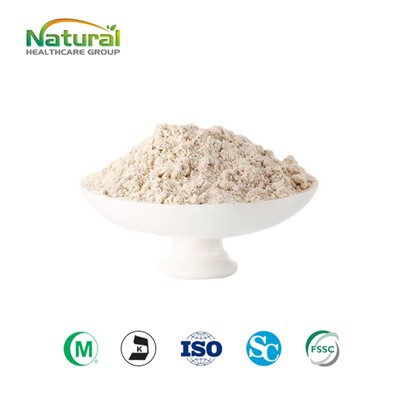 Tiger Milk Mushroom Powder