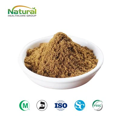 Yucca Powder
