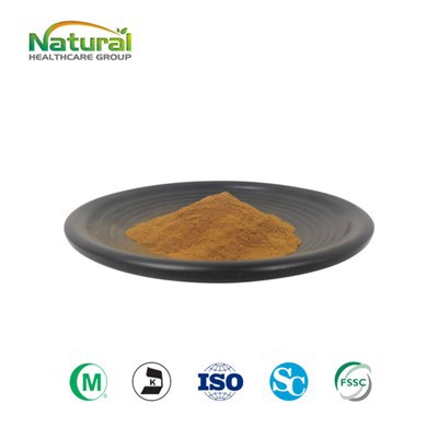 Βιολογικό εκχύλισμα μανιταριού Chaga